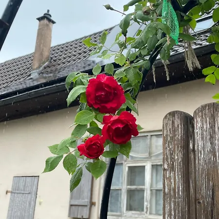 Homestay Double A 8min De Strasbourg Vendenheim