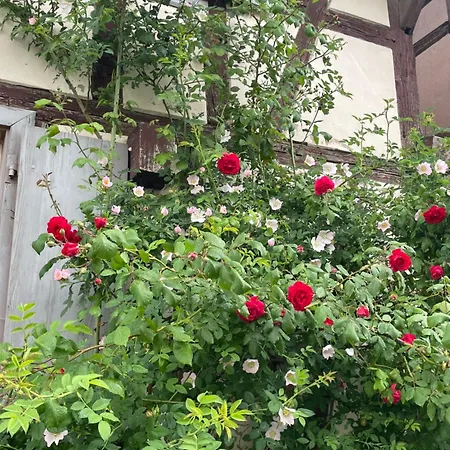 Homestay Double A 8min De Strasbourg Vendenheim